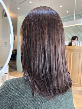 アンフィ 矢向(Anphi) 3-31 ミディアム