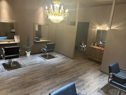 ミスター(Mr,)の写真