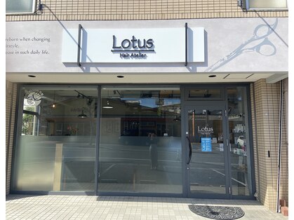 ロータス(Lotus)の写真