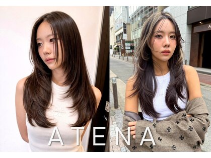 アテナ(ATENA)の写真