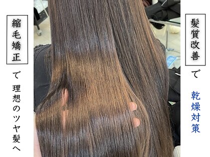 グラマシー アレックス(Gramercy alex)の写真