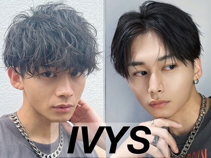 アイビーズ(IVYS)の写真