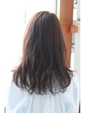 ソフトウェーブセミ