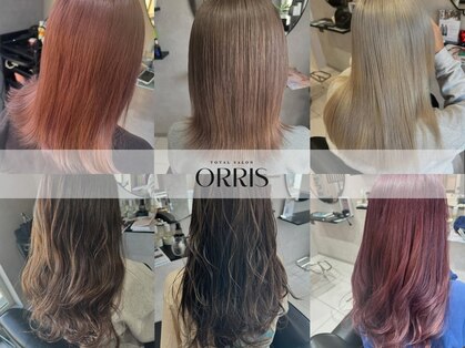 オリス(ORRIS)の写真