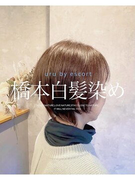 ウルバイエスコート 橋本(Uru by Escort) ショートボブ×明るい白髪染め