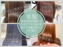 リッチニイガタ(Ricci NIIGATA)