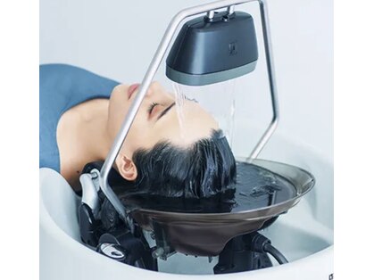 ヌト(nuto.)の写真