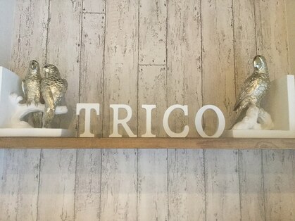 トリコ(trico)の写真