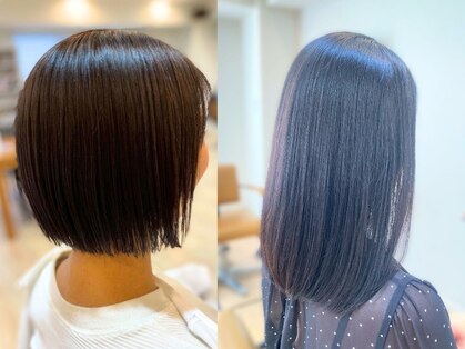 ノックス(NOCKS)の写真