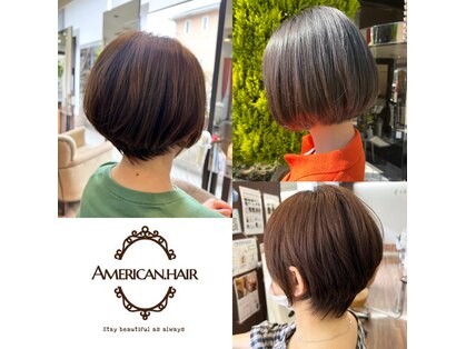 アメリカン ヘアー(American hair)の写真