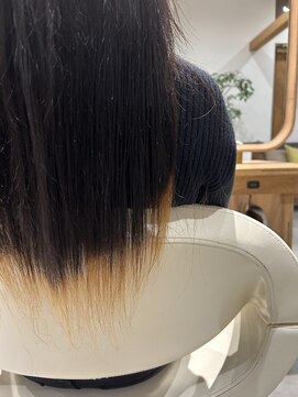 フラム(fulam) 裾カラー