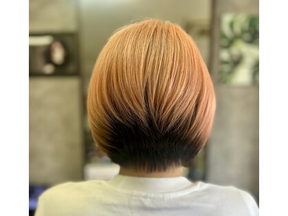サーカス(CiRCUS)の写真