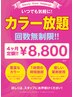 ☆大好評☆【定額制】平日限定カラー染め放題チケット更新〔4ヶ月〕￥8800