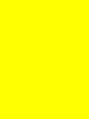 イエロー 新浦安店(YeLLOW)/スタッフ一同