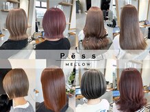 ペス メロウ(Pess mellow)