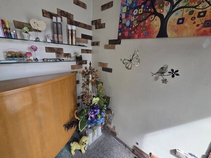 Roman【ロマン】の写真