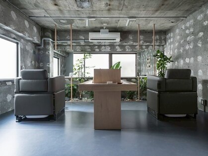 ホーリーグレイル(Holy grail)の写真