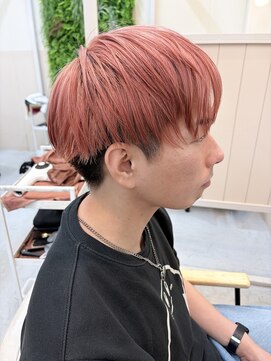 シダ(sida) 春に向けて「桜カラー」