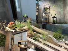 木陰のヘアクラフト(木陰のhair craft)の雰囲気（シックな内装に、植物を多く配置しております）