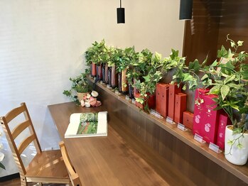 hair salon THERATIA【ヘアサロン セラティア】