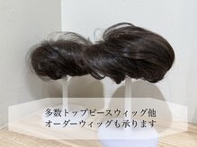 ギンザ シロー(GINZA CIRO)の雰囲気（美容師がつくる美髪ウィッグ！ウィッグソムリエが担当します！）