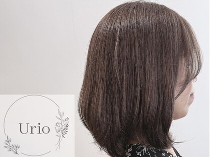 ユーリオ(Urio)の写真