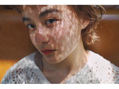バド(bado)の写真