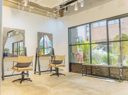 ウェルク(welc)の写真