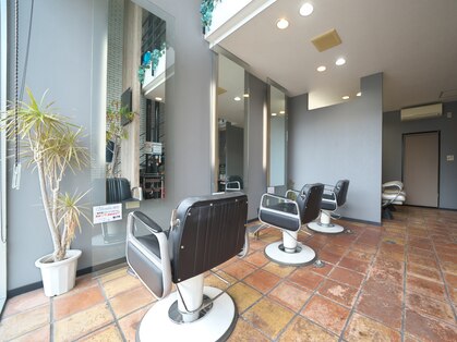 ブロンディ(Blondie)の写真