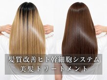 キュー(CUE)の雰囲気（宮崎市で話題の髪質改善でツヤ髪へ）