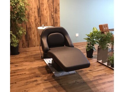 ミント(Mint)の写真