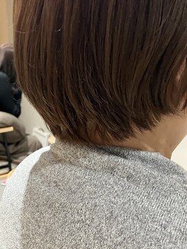 本と南風 guest design