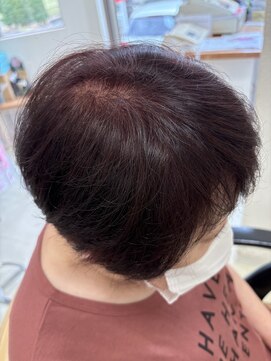 ニート(NEAT) 米カラー