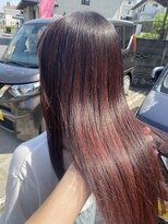 ビーズ(BEAZ)&nbsp;和漢併用カラー