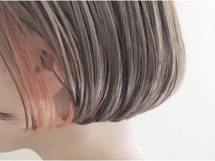 トイジャーナル(toi journal)の写真