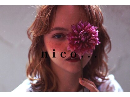 ニコ(nico...)の写真