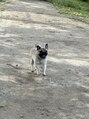 エン 四街道店(en) 家にはめちゃくちゃかわいいパグがいます！！！