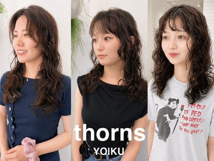 ソーンズ ヨイク(thorns YOIKU)の写真