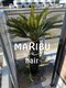 マリブ(MARIBU)の写真/髪質改善または縮毛矯正で素敵な髪へ