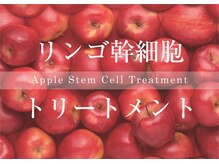 シープ(shiip)の雰囲気（皆様のお悩み、日頃のケアの仕方等色々とご相談ください。）
