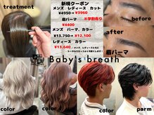 ベイビーズブレス(Baby's breath)