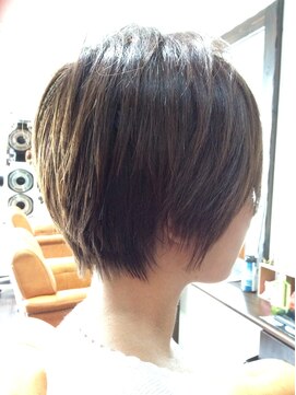 ドルセット ショート