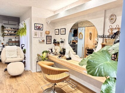 ペリ(peri)の写真