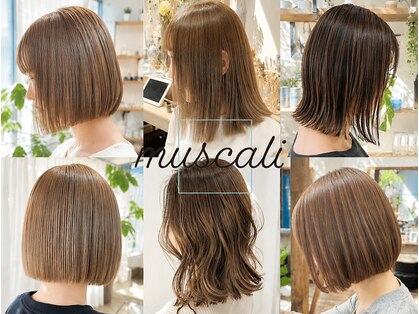マスカリ(muscali)の写真
