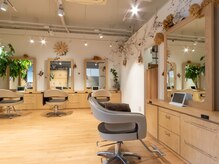 ヘアー アンベリール(HAIR EMBELLIR)