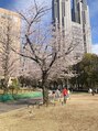 リトル 盛岡(little)&nbsp;桜が好きです