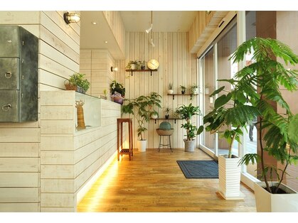 ルーツ(ROOTS)の写真