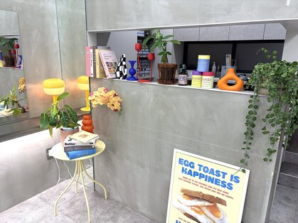 ウム(umu.)の写真