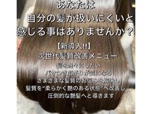 ブルーフェアリー(Blue Fairy)の雰囲気(髪の状態や施術履歴を丁寧にカウンセリング後計画的に髪質改善)