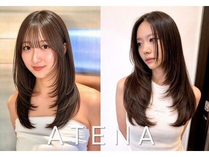アテナ(ATENA)の写真